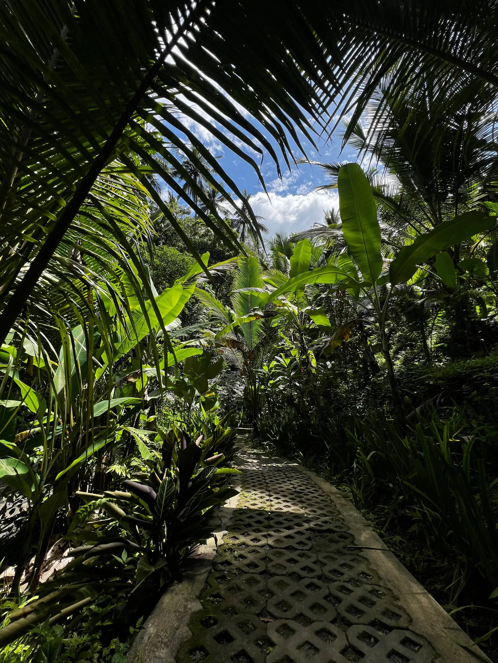 [Фото 19] Океан после маршрута