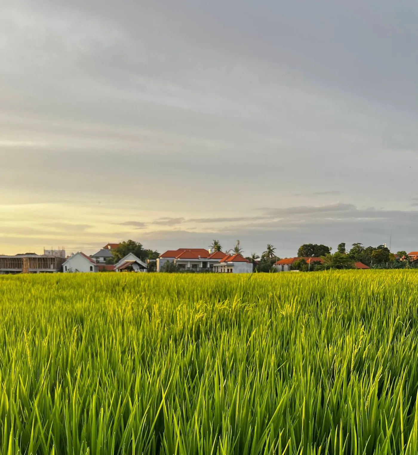 [Фото 12] Зеленый участок маршрута
