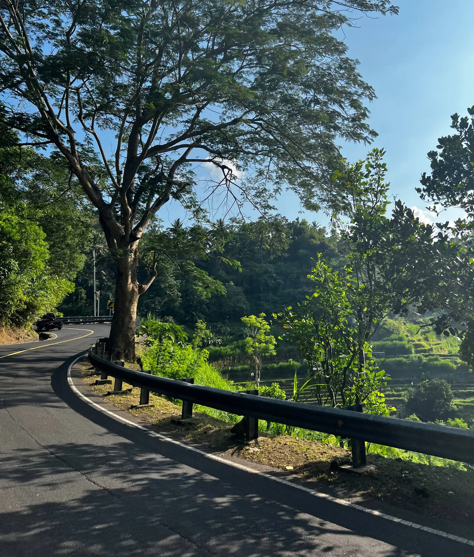 [Фото 11] Дорога в рельефе Бали